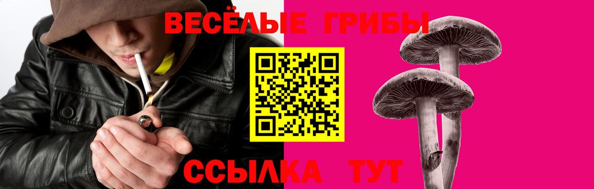 Псилоцибиновые грибы Psilocybe  Вход с VPN  Камень-на-Оби  Псилоцибиновые грибы Magic Shrooms 